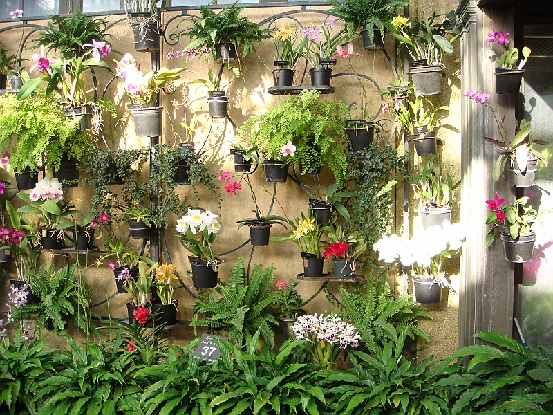 365 Longwood Gardens [2008 August 23].JPG - Longwood Gardens in Pennsylvania